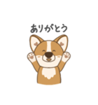 コギ太の1日（個別スタンプ：8）