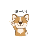 コギ太の1日（個別スタンプ：13）