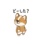 コギ太の1日（個別スタンプ：16）