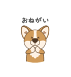 コギ太の1日（個別スタンプ：17）