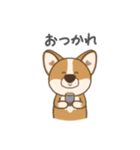 コギ太の1日（個別スタンプ：20）