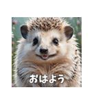 毎日使える♪はりねずみの表情スタンプ（個別スタンプ：1）
