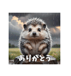 毎日使える♪はりねずみの表情スタンプ（個別スタンプ：3）