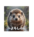 毎日使える♪はりねずみの表情スタンプ（個別スタンプ：11）