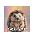 毎日使える♪はりねずみの表情スタンプ（個別スタンプ：27）