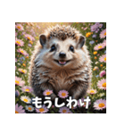 毎日使える♪はりねずみの表情スタンプ（個別スタンプ：31）