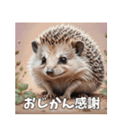 毎日使える♪はりねずみの表情スタンプ（個別スタンプ：33）