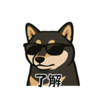 クールな柴犬（個別スタンプ：4）