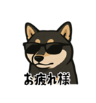 クールな柴犬（個別スタンプ：5）