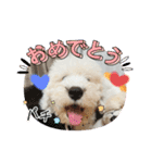 ガブガブアクア（個別スタンプ：1）