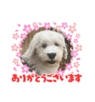 ガブガブアクア（個別スタンプ：2）