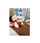 ガブガブアクア（個別スタンプ：6）