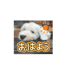 ガブガブアクア（個別スタンプ：8）