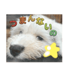 ガブガブアクア（個別スタンプ：10）