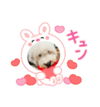 ガブガブアクア（個別スタンプ：11）