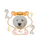 ガブガブアクア（個別スタンプ：12）