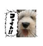 ガブガブアクア（個別スタンプ：14）