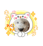ガブガブアクア（個別スタンプ：15）