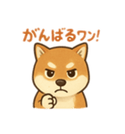 りき 日常生活（個別スタンプ：5）