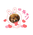 チロル＆チョコ 13（個別スタンプ：4）