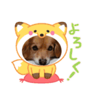 チロル＆チョコ 13（個別スタンプ：7）