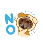 チロル＆チョコ 13（個別スタンプ：10）