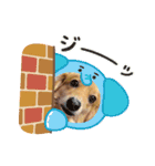 チロル＆チョコ 13（個別スタンプ：13）