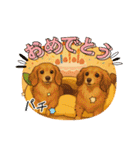 チロル＆チョコ 13（個別スタンプ：25）