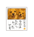 チロル＆チョコ 13（個別スタンプ：29）