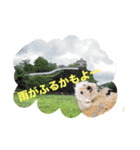 あんず•ザ•スタンプ（個別スタンプ：5）