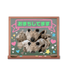 あんず•ザ•スタンプ（個別スタンプ：8）
