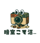 レトロなカメラが写真のことをつぶやく（個別スタンプ：16）