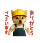 働く柴犬さん（個別スタンプ：10）