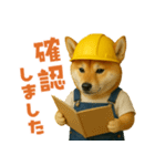 働く柴犬さん（個別スタンプ：12）