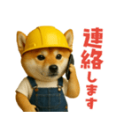 働く柴犬さん（個別スタンプ：14）