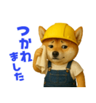 働く柴犬さん（個別スタンプ：36）