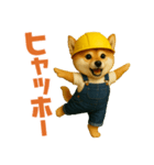 働く柴犬さん（個別スタンプ：37）