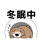 漢字で伝えるくまちゃんスタンプ（個別スタンプ：27）