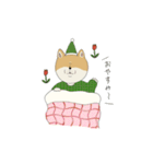 マメシバさんの日常。（個別スタンプ：2）