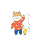 マメシバさんの日常。（個別スタンプ：3）