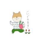 マメシバさんの日常。（個別スタンプ：4）