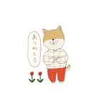 マメシバさんの日常。（個別スタンプ：5）