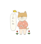 マメシバさんの日常。（個別スタンプ：6）