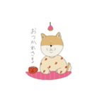 マメシバさんの日常。（個別スタンプ：8）