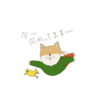 マメシバさんの日常。（個別スタンプ：12）