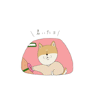 マメシバさんの日常。（個別スタンプ：14）