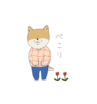 マメシバさんの日常。（個別スタンプ：16）