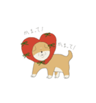 マメシバさんの日常。（個別スタンプ：21）