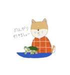 マメシバさんの日常。（個別スタンプ：26）