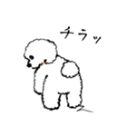 ディア・きなこ（個別スタンプ：12）